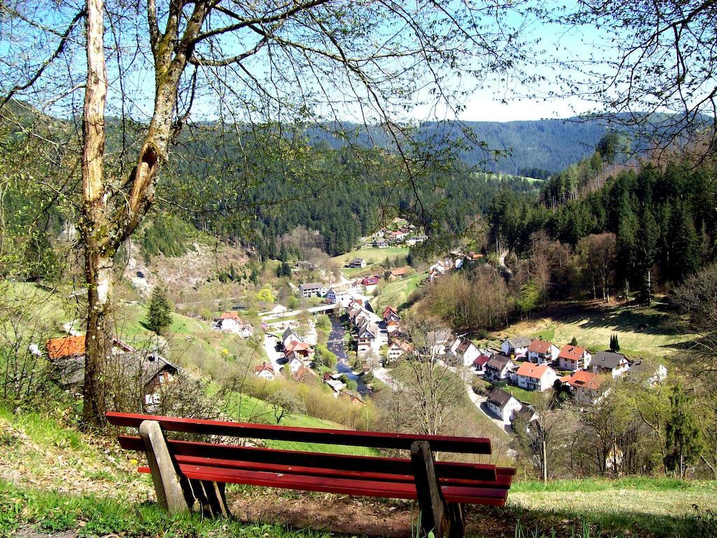 Landhaus Schwaben Schonmunzach Dış mekan fotoğraf